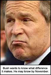 George Bush wants to know what difference it makes whether WMDs are found or not. He may know by November.