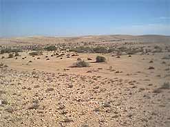 The Negev desert is largely a nuclear wasteland occupied already by Bedouin tribes that would lose access to their land, should it become a home for returning Palestinian exiles.