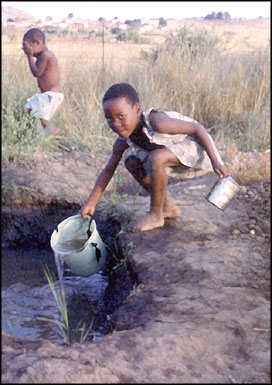 'Political freedom alone is still not enough if you lack clean water.' Nelson Mandela, November 16th 2000.